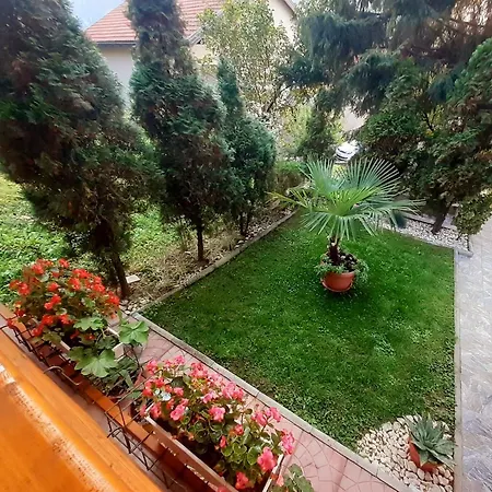 Obiteljski Borovi * Visoko