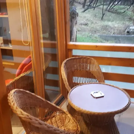 Obiteljski Borovi *