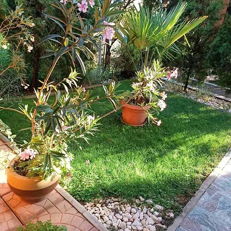 Obiteljski Borovi Campingplatz Visoko