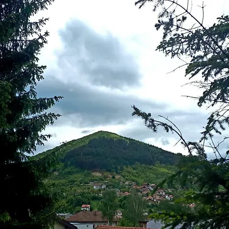 Obiteljski Borovi Kemping