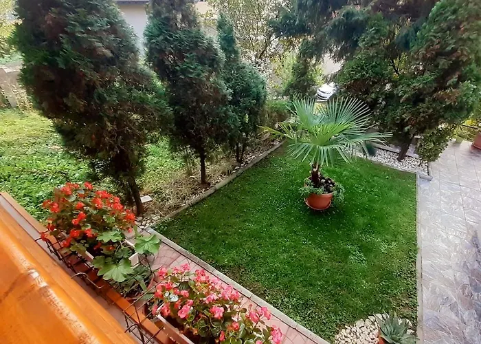 Obiteljski Borovi * Visoko