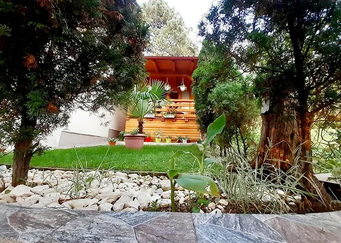 Obiteljski Borovi Kamp