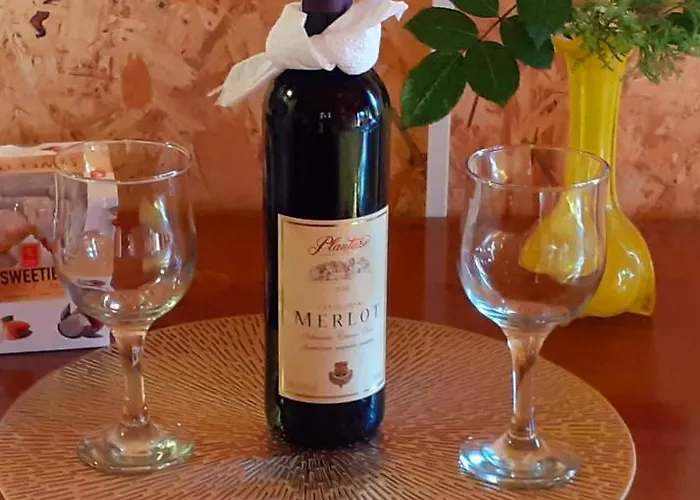 Obiteljski Borovi Visoko