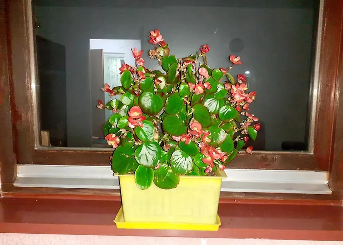 Kamp Obiteljski Borovi Visoko