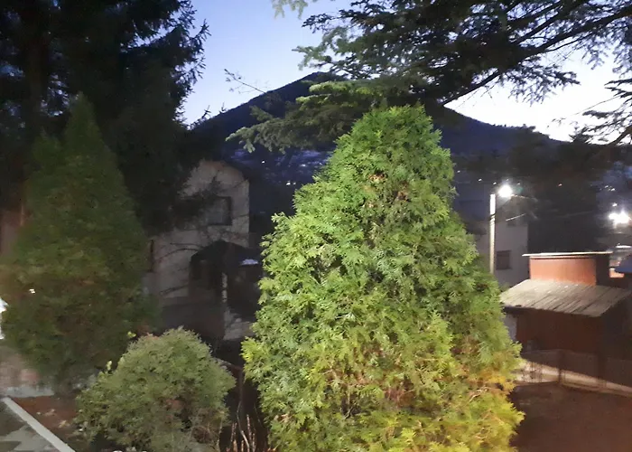 Kemp Obiteljski Borovi *