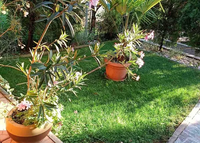 Obiteljski Borovi Kemp Visoko